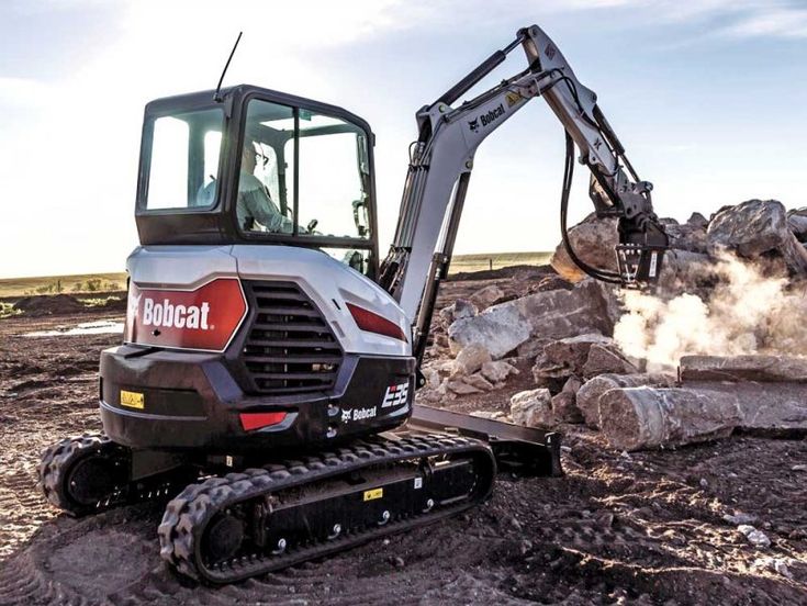 Bobcat